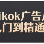 TIKTOK广告终极教程：从新手到高手，掌握广告投放秘诀！
