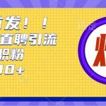揭秘BOSS直聘独家技巧：轻松日吸200+创业精英，掌握财富密码！