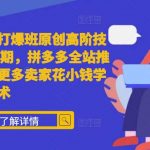 拼多多独家揭秘：第40期打爆班高级技术，全面掌握全站推广秘诀，卖家必看！小投入也能学到大神级技巧！