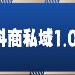 抖音爆款抖商攻略：私域流量1.0实战教学，轻松引流获客秘籍大揭秘！