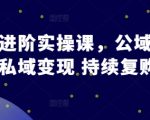 私域流量变现高手秘籍：从公域引流到私域运营，实现持续复购的终极策略！