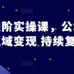 私域流量变现高手秘籍：从公域引流到私域运营，实现持续复购的终极策略！