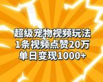 宠物视频爆款秘籍：单条点赞破20万，日赚1000元，轻松变现攻略大揭秘！