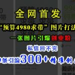 揭秘小红书4980元预算营销秘籍，一张图激活创业热潮，私信爆满，单次精准引流超300创业精英！