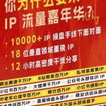 群响IP流量盛宴独家揭秘，现场高清视频大放送+2024年IP江湖珍藏版PPT免费下载！