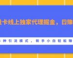 流量卡线上代理独家秘籍，日赚1000+，揭秘高效引流技巧，新手也能快速掘金！
