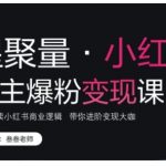 小红书博主快速增粉秘诀曝光！深度解析商业内幕，轻松变身变现高手！