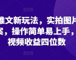 小说推广革命性创新：实拍图片结合精彩文案，轻松操作快速变现，单条视频收益破千的秘密技巧！