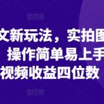 小说推广革命性创新：实拍图片结合精彩文案，轻松操作快速变现，单条视频收益破千的秘密技巧！
