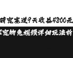 AI宠物赚钱攻略：9天轻松赚取4800元，独家免视频玩法揭秘，萌宠赛道收益翻倍！