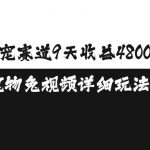AI宠物赚钱攻略：9天轻松赚取4800元，独家免视频玩法揭秘，萌宠赛道收益翻倍！