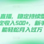 无人直播DY赚钱攻略，稳定日入500+，新手也能轻松实现月入过万，揭秘持续盈利秘籍！