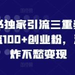 小红书独门引流秘籍三重奏：轻松日引100+创业粉丝，流量爆棚，变现无忧——揭秘内部操作技巧！