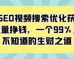 抖音SEO秘籍：视频搜索优化技巧，轻松获取海量免费流量，揭秘99%的人都不知道的赚钱新途径！