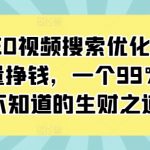 抖音SEO秘籍：视频搜索优化技巧，轻松获取海量免费流量，揭秘99%的人都不知道的赚钱新途径！