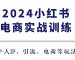 2024小红书电商终极攻略：3.0实战训练，打造个人IP，引爆流量，掌握电商盈利秘诀！