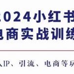 2024小红书电商终极攻略：3.0实战训练，打造个人IP，引爆流量，掌握电商盈利秘诀！