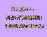 抖音独家秘籍：冷门神贴操作指南，小白逆袭月入过万，揭秘财富密码！