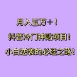 抖音独家秘籍：冷门神贴操作指南，小白逆袭月入过万，揭秘财富密码！
