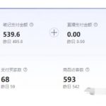 揭秘：零成本小红书虚拟电商盈利新模式，无需刷单推广，轻松日赚三四百！