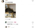 小红书独家定制图项目，揭秘月入4W的独家渠道，免费赠送！