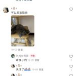 小红书独家定制图项目，揭秘月入4W的独家渠道，免费赠送！