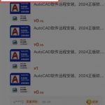 闲鱼虚拟网盘新手训练营：2天速成攻略，打造无上限被动收入，轻松月入过万！