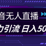 抖音快手视频号全平台独家揭秘：无人直播引流黑科技，轻松日引100+创业粉，图片模板+语音话术助你暴力吸粉！