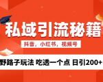 揭秘：独家私域流量精准获客野路子，一招致胜，日引流破200+，掌握核心技巧！