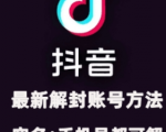 2024年11月独家揭秘：抖音账号解封+实名取消攻略，亲测有效，已成功解封两大账号！