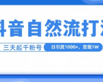 抖音独家自热流秘籍：一条视频轻松破十万播放，每日狂揽1000+粉丝，3天快速变现1W+，揭秘流量密码！