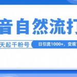 抖音独家自热流秘籍：一条视频轻松破十万播放，每日狂揽1000+粉丝，3天快速变现1W+，揭秘流量密码！