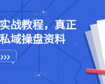 极致秘籍：手把手教你打造高效私域流量，实战操盘攻略全面曝光！