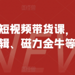 快手带货秘籍大揭秘：开店+剪辑技巧+磁力金牛攻略，轻松月入过万！