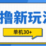 揭秘0成本躺赚项目新玩法：批量操作，单机日入30+，只需一部手机即可轻松实现！