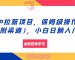 揭秘APP拉新赚钱秘诀：保姆级操作教程+独家渠道，小白也能日赚翻倍！