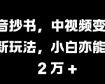 抖音爆款抄书攻略：轻松月入过万的中视频变现新趋势，小白也能掌握的赚钱秘籍【揭秘】