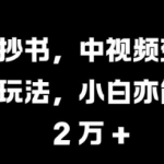 抖音爆款抄书攻略：轻松月入过万的中视频变现新趋势，小白也能掌握的赚钱秘籍【揭秘】