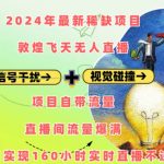 2024年独家揭秘：敦煌飞天无人直播项目，自带海量流量，轻松实现160小时不间断直播，合规操作赚翻天！
