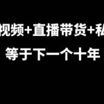 短视频直播带货终极攻略：揭秘私域流量变现，7年实战大佬带你抢占下一个十年财富风口！