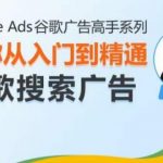 谷歌广告大师秘籍——从新手小白到搜索广告高手的蜕变之旅