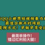 12月火爆QQ小世界短视频快速起号秘籍，新手必看！多种盈利模式，轻松变现不是梦！