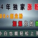 2024年终极涨粉攻略曝光！日吸300+精准创业粉，微信好友瞬间爆满，新手必看轻松逆袭！
