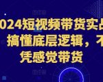 2024年短视频带货终极攻略：揭秘底层逻辑，告别盲目带货，实现销量翻倍！