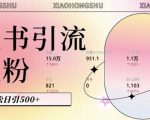 小红书AI智能引流秘籍：自动化内容创作，粉丝快速转化，新手也能日增500+创业粉丝！