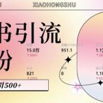 小红书AI智能引流秘籍：自动化内容创作，粉丝快速转化，新手也能日增500+创业粉丝！