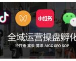 全域运营攻略：抖音+私域+小红书一站式IP打造，轻松实现高效变现！