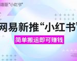 网易重磅推出小红书搬运赚钱项目，新手也能轻松月入过万，错过等一年！附独家详细操作教程【揭秘】
