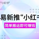 网易重磅推出小红书搬运赚钱项目，新手也能轻松月入过万，错过等一年！附独家详细操作教程【揭秘】