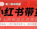 小RED书42天带货训练营2.0版：宝妈、自由职业者、上班族、大学生，轻松提升副业收入，抓住财富增长红利！